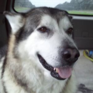 Meet your Posher, Barbara